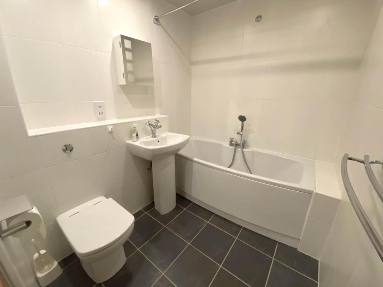 Parc Y Bryn Serviced Apartments آبيريستويث المظهر الخارجي الصورة